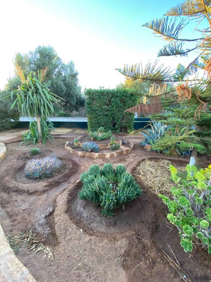 Riad Les Trois Merveilles Essaouira Ngoại thất bức ảnh