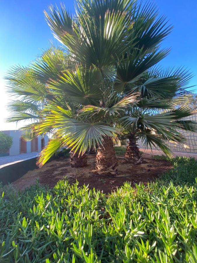 Riad Les Trois Merveilles Essaouira Ngoại thất bức ảnh
